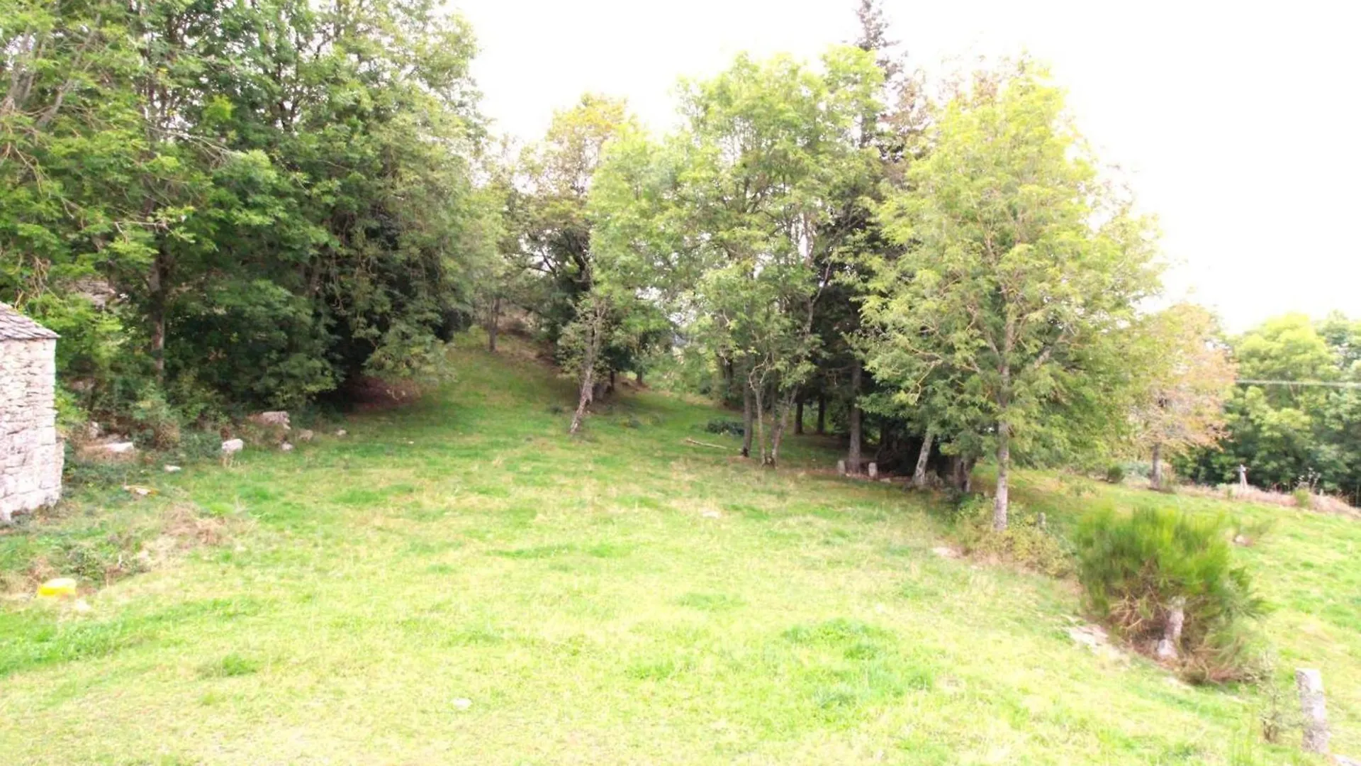 Maison De Caractere Renovee, 4 Ch, 9 Pers, Jardin, Cheminee, Animaux Acceptes, 15320 Val D'Arcomie - Fr-1-742-363